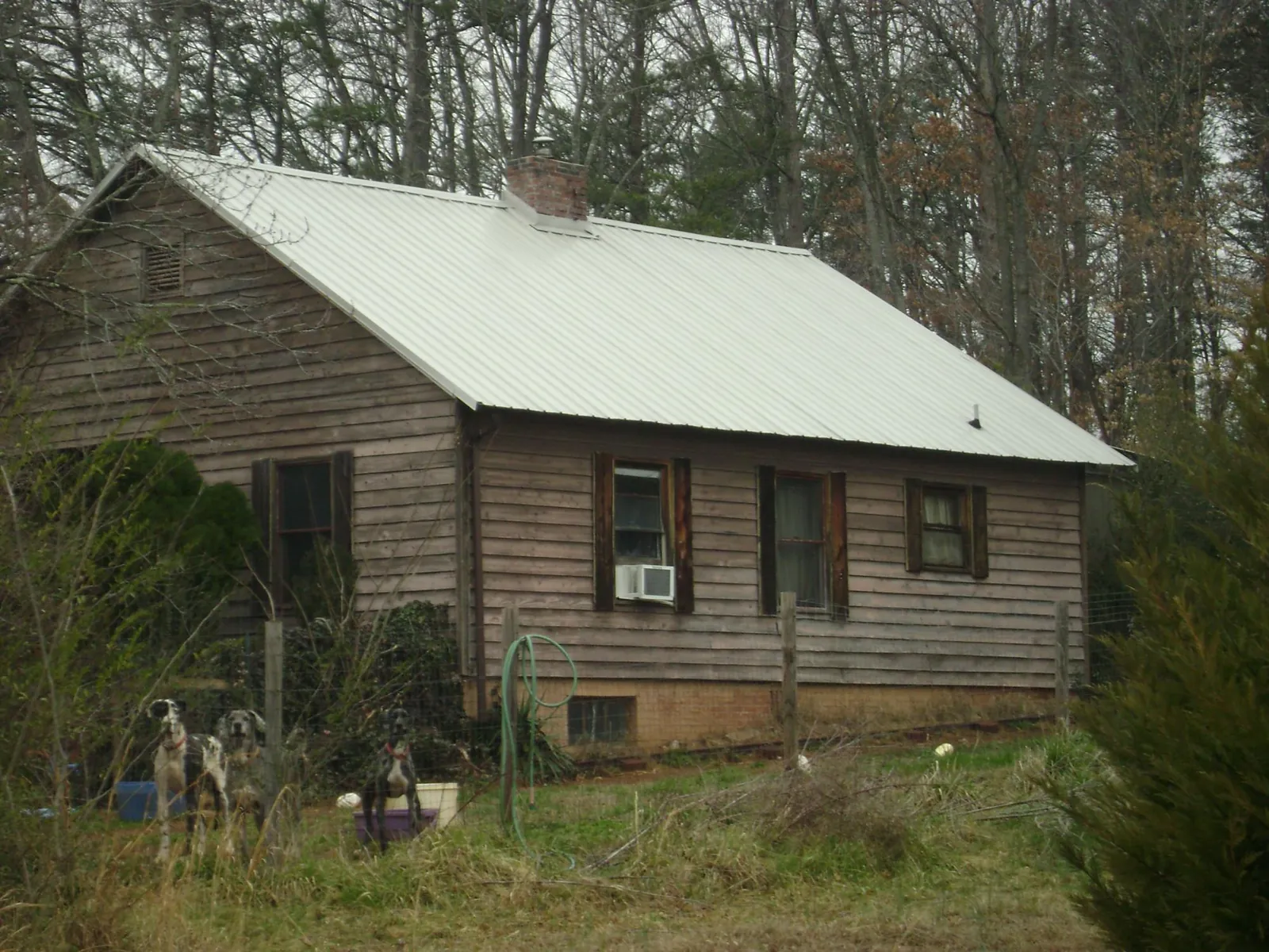 White metal roof on an old wood sided farmhouse, from a Asphalt Shingle Roof Repair job in Mississippi State
